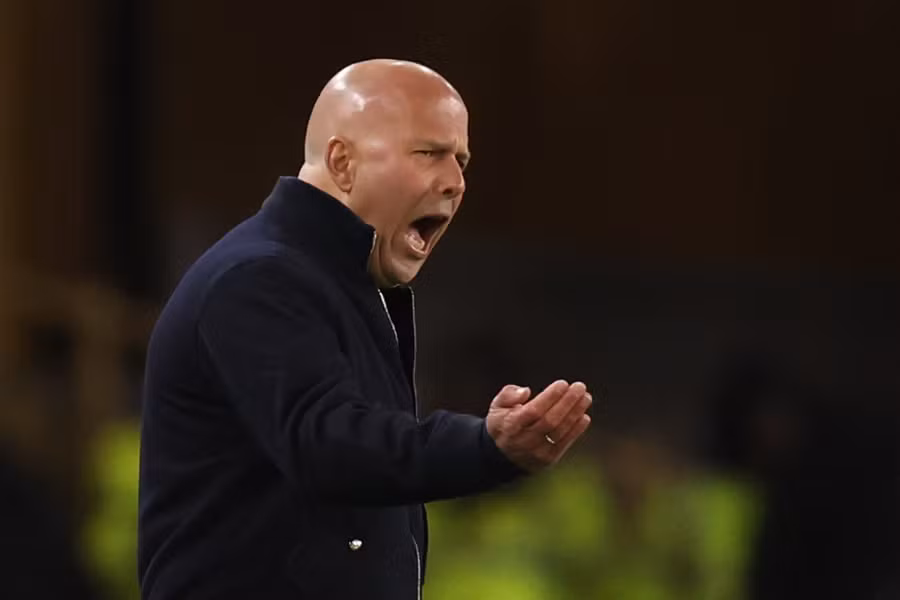 Virgil van Dijk reacting to André's deflected winning goal for Wolves.